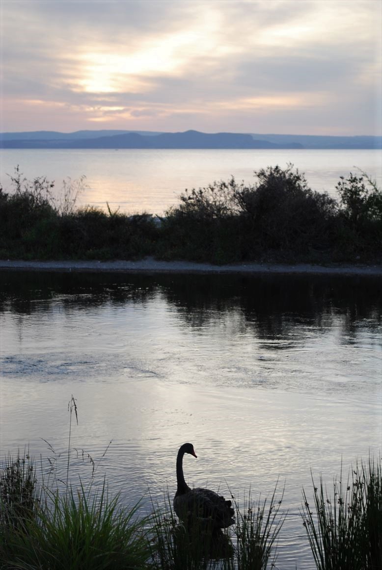 Lake Taupo of 西表島でカヤック・アウトドアするなら：バジャウトリップ西表フィールドサービス